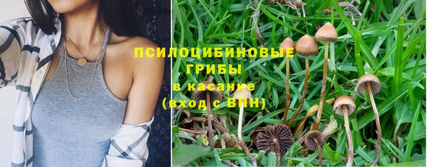 первитин Алексеевка
