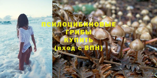 прущий лед Алзамай