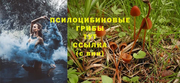 крисы Абдулино