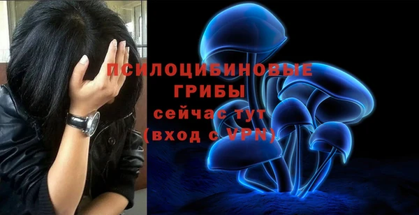 амфетамин Алексин