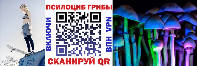 Галлюциногенные грибы ЛСД даркнет сайт Зарайск
